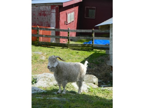560 Daniels Farm Road Waterford, VT 05819 - Photo 24 of 36 Gallery Image 24