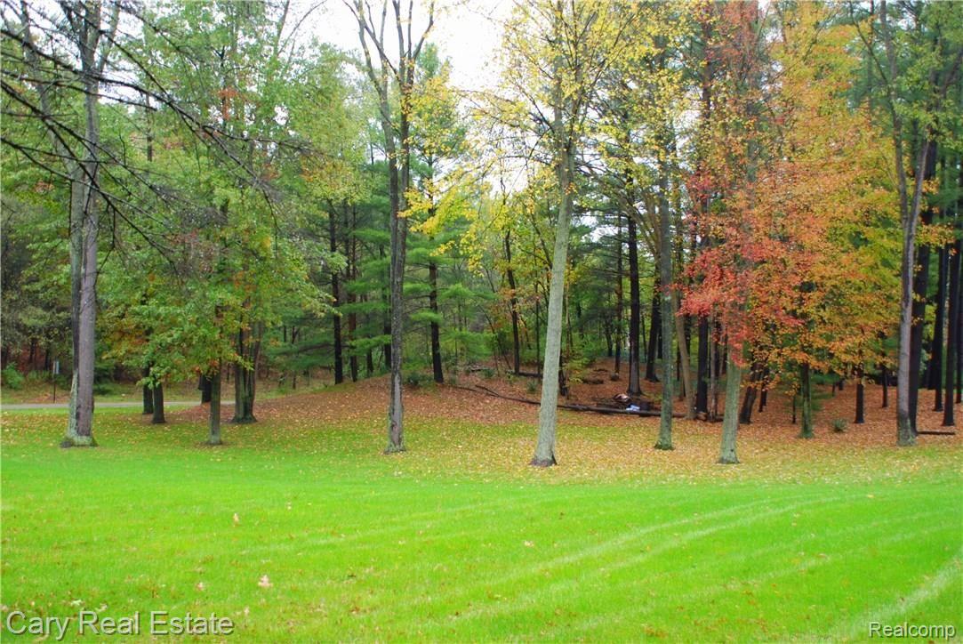 10311 Mcgregor Road Pinckney, MI 48169 - Photo 2 of 17 DSC_1045.JPG