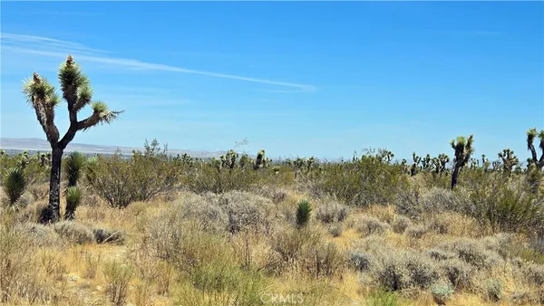 $13,500 | 0 Vicinity Avenue, Llano, CA 93544