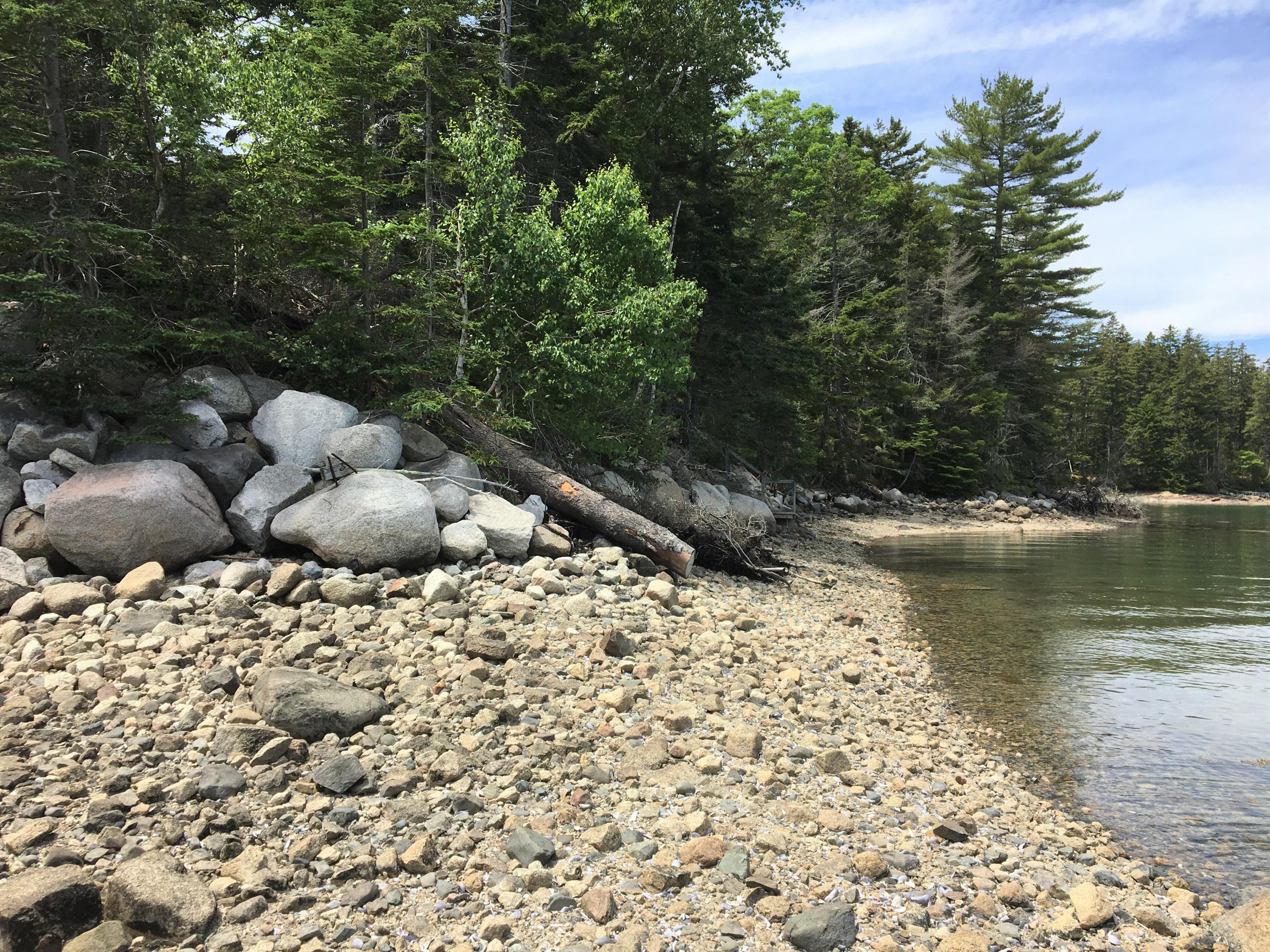 28 Middle Cove Road Sargentville, ME 04673 - Photo 9 of 51 Cove side shore