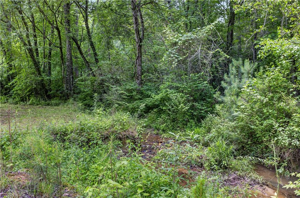 0 Parksbrook Road Ellijay, GA 30540 - Photo 42 of 67