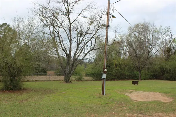 a view of a yard with a tree