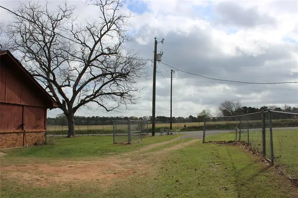 a view of a yard