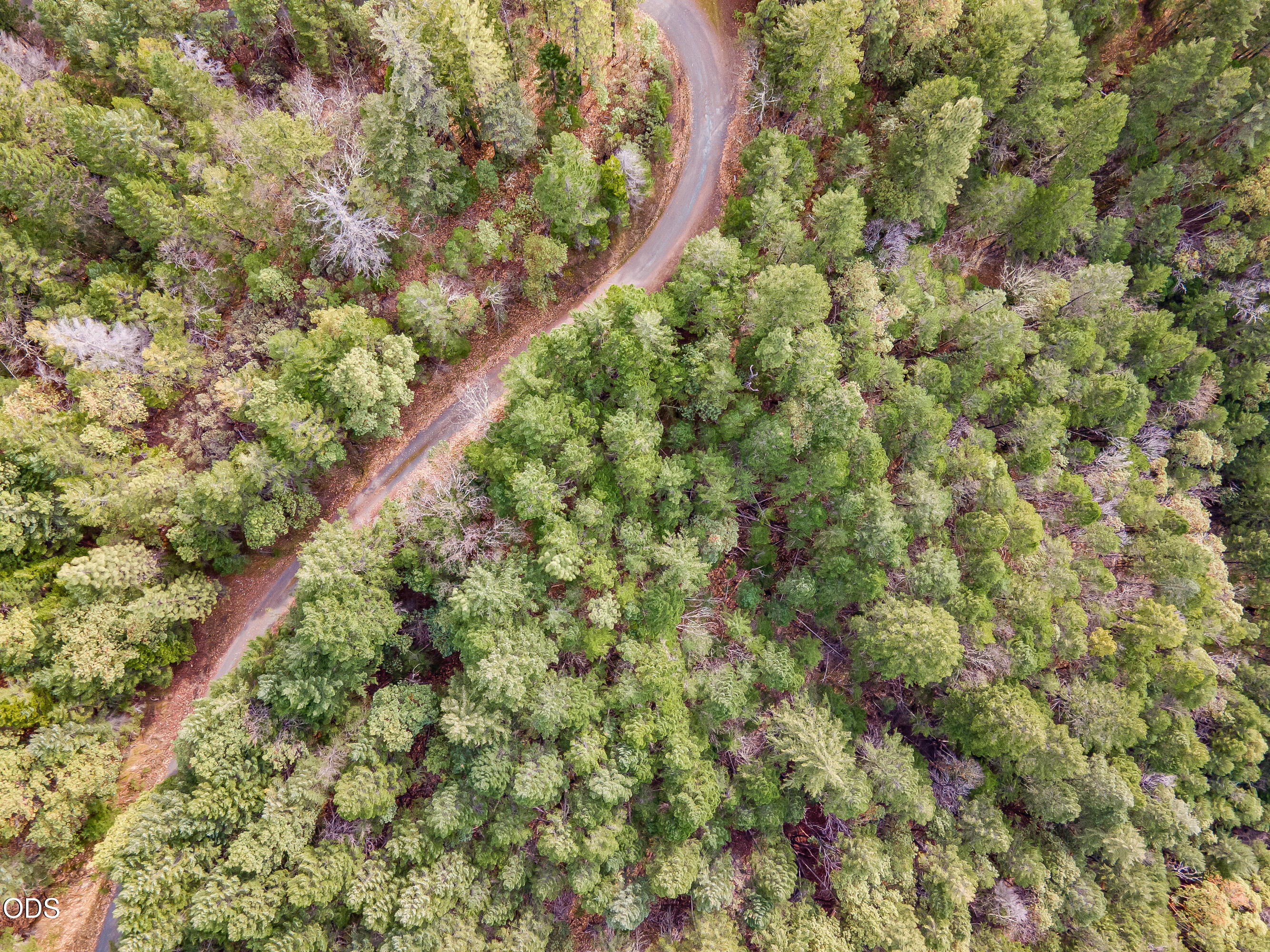 Pleasant Cr Road Rogue River, OR 97537 - Photo 11 of 42