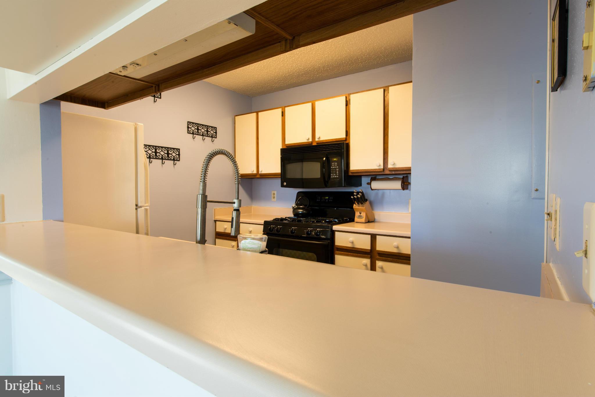 20960 Timber Ridge Terrace, Unit 202 Ashburn, VA 20147 - Photo 7 of 27 Kitchen