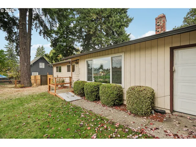 a view of a backyard with plants and a tree