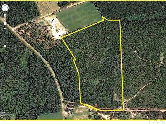 4963 Brushy Creek Road Brewton, AL 36426 - Photo 11 of 11