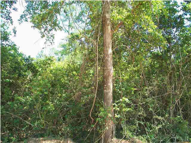 4963 Brushy Creek Road Brewton, AL 36426 - Photo 2 of 11 This property is yours for the taking