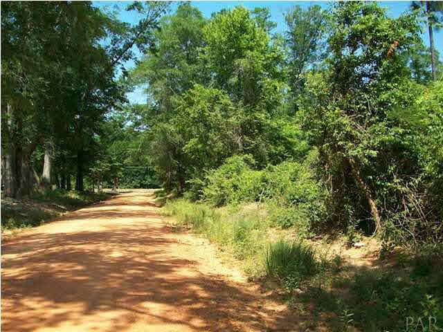 4963 Brushy Creek Road Brewton, AL 36426 - Photo 5 of 11 This is another view of the road on which the property is located