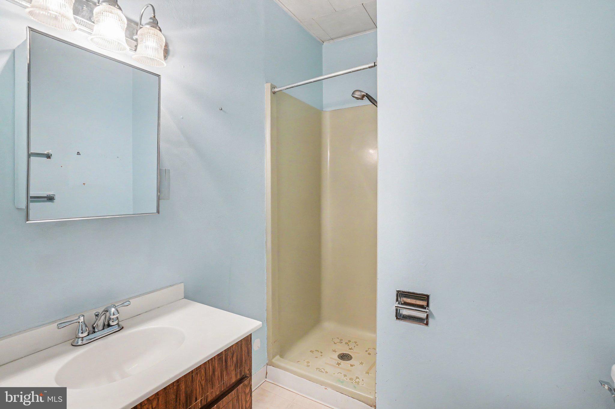 225 Garfield Road Bernville, PA 19506 - Photo 13 of 37 Attached Full Bath with Walk-in Shower