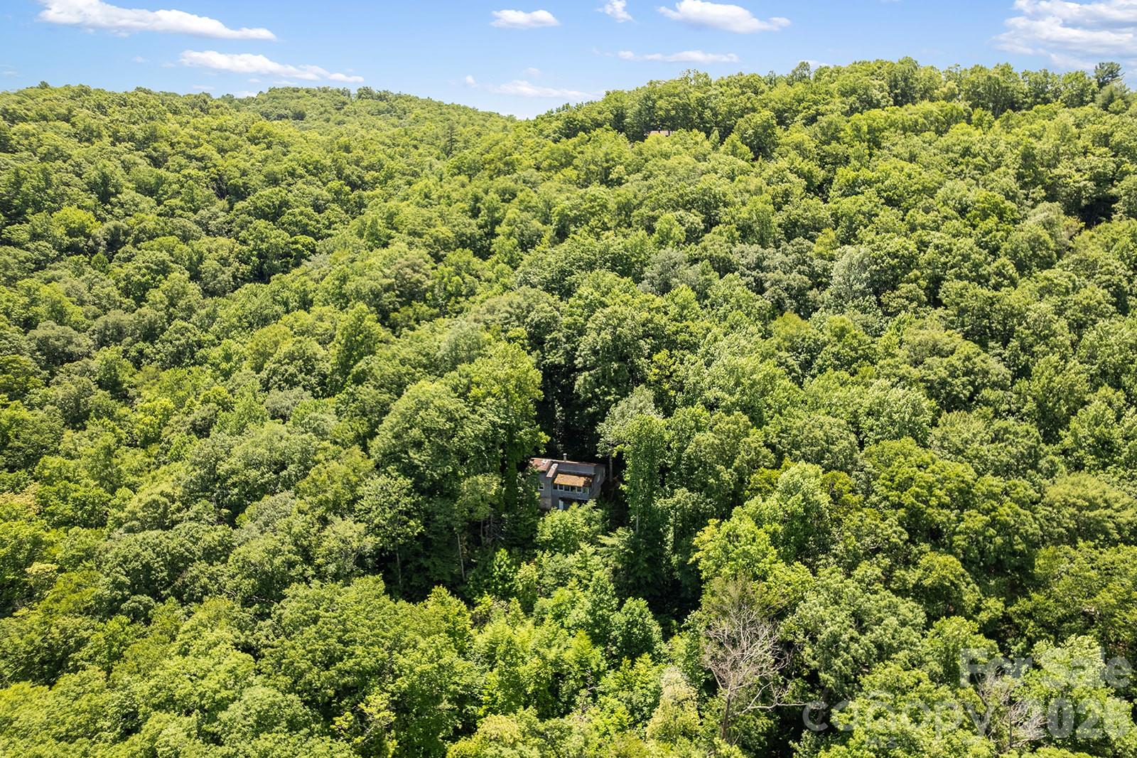 376 Stoney Brook Road Hendersonville, NC 28739 - Photo 20 of 23