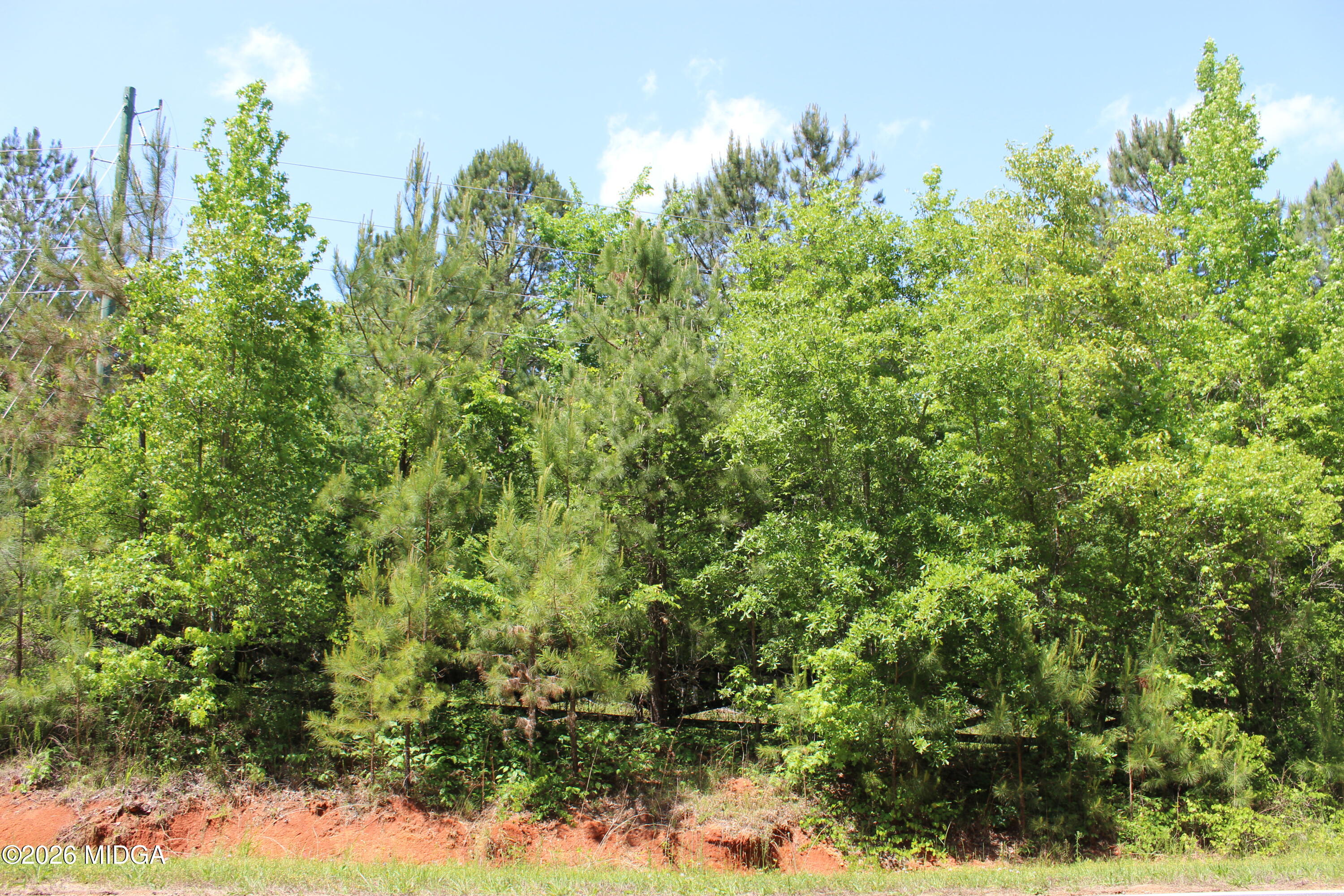Lot 5 Jenkins Road Forsyth, GA 31029 - Photo 11 of 13 a view of a garden