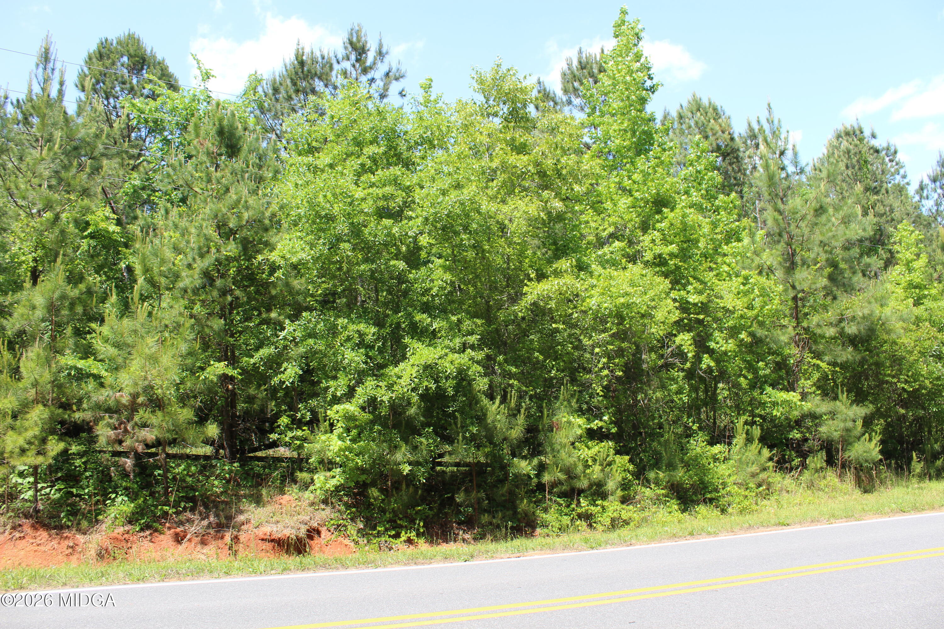 Lot 5 Jenkins Road Forsyth, GA 31029 - Photo 13 of 13 a view of a yard