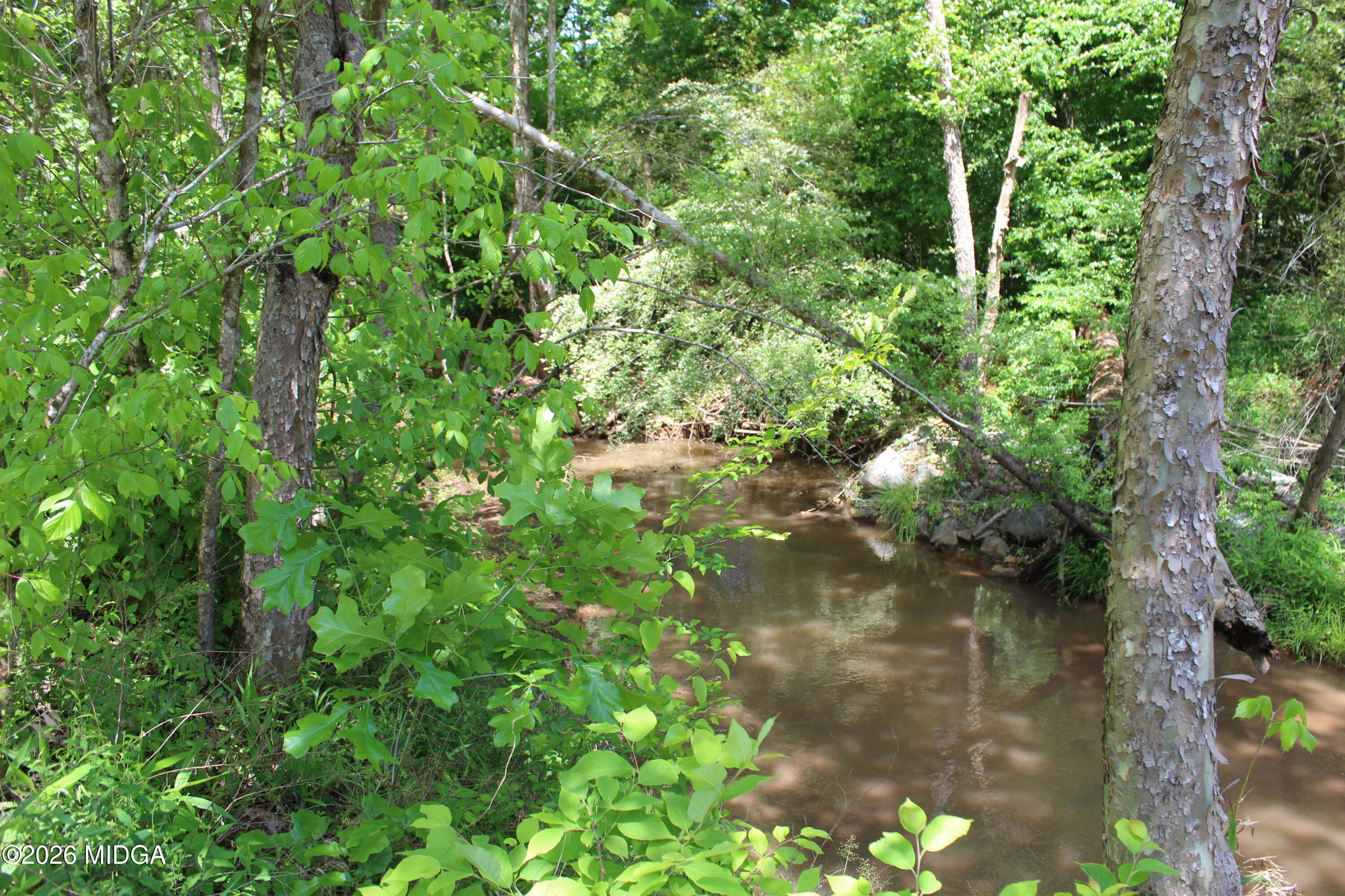 Lot 5 Jenkins Road Forsyth, GA 31029 - Photo 3 of 13 a view of a forest