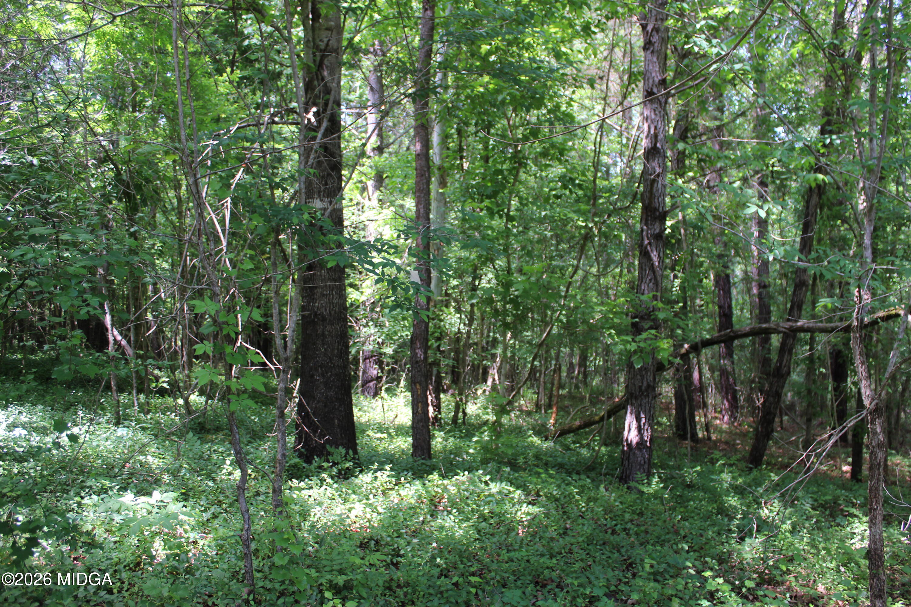 Lot 5 Jenkins Road Forsyth, GA 31029 - Photo 9 of 13 a view of outdoor space and green space