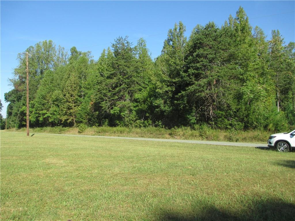 0 White Level Road Mebane, NC 27302 - Photo 3 of 7 Photo 3
