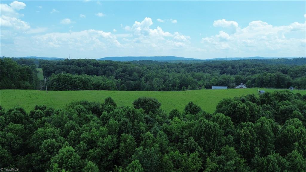 1242 East Carter Mill Road Elkin, NC 28621 - Photo 6 of 29