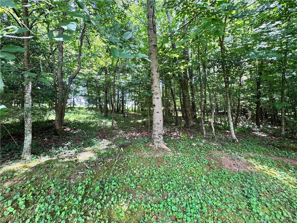 1242 East Carter Mill Road Elkin, NC 28621 - Photo 9 of 29