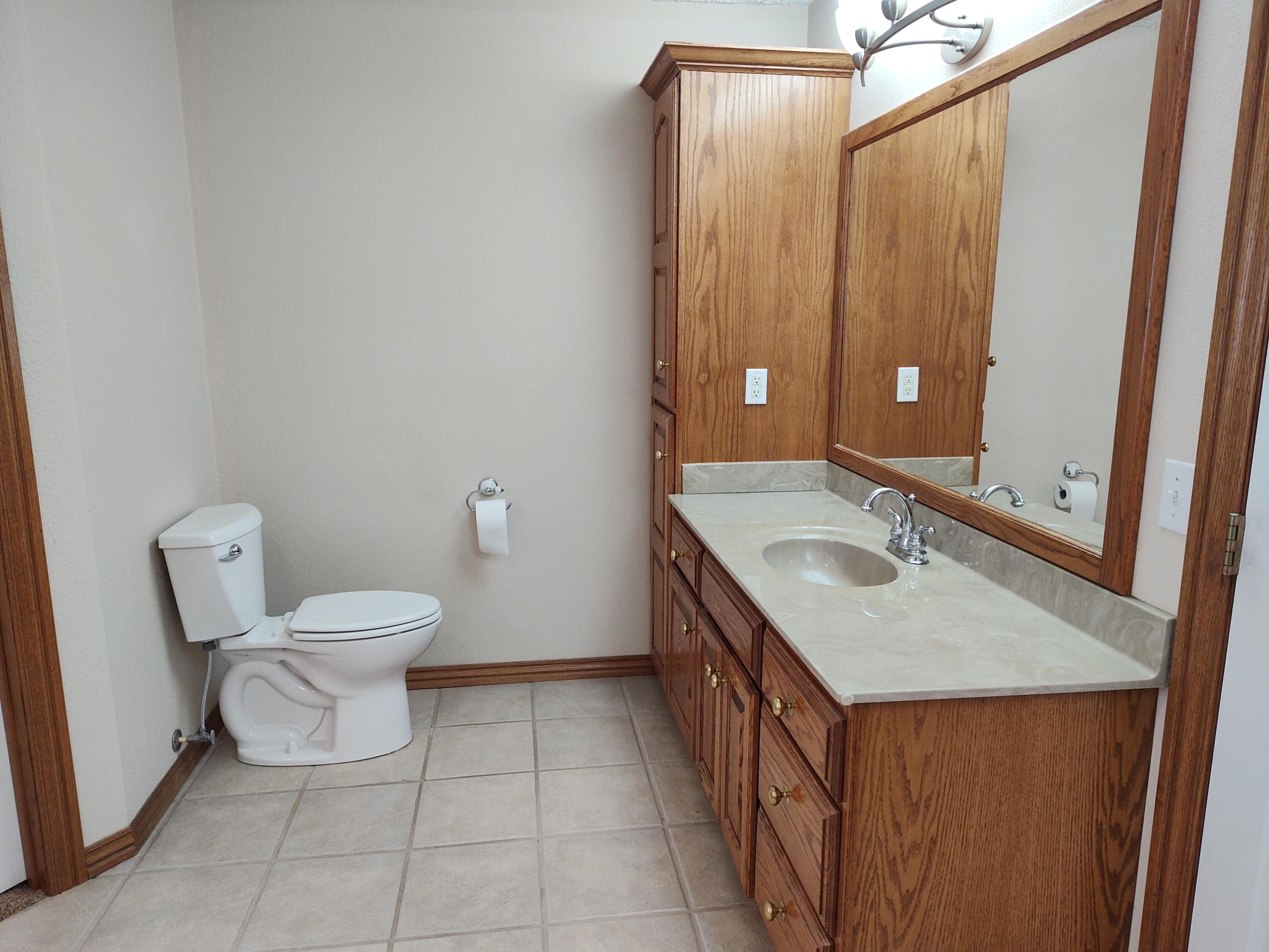 4107 South 118th Road Bolivar, MO 65613 - Photo 26 of 48 Vanity & toilet