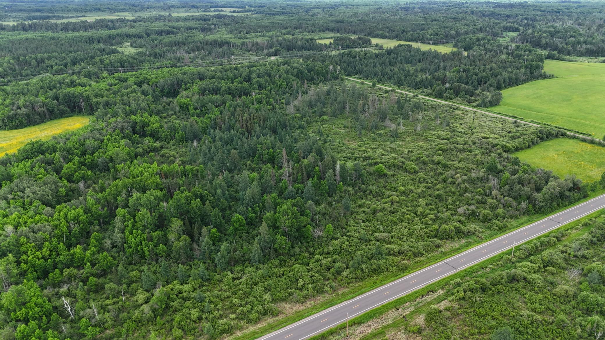 Tbd Town Line Road Forbes, MN 55738 - Photo 14 of 15