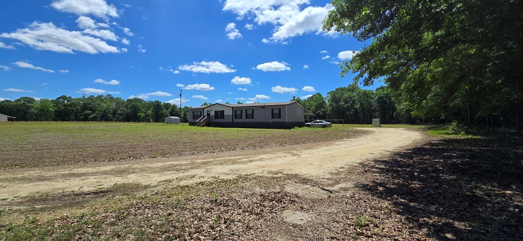 800 Grady Garner Road Slocomb, AL 36375 - Photo 6 of 49
