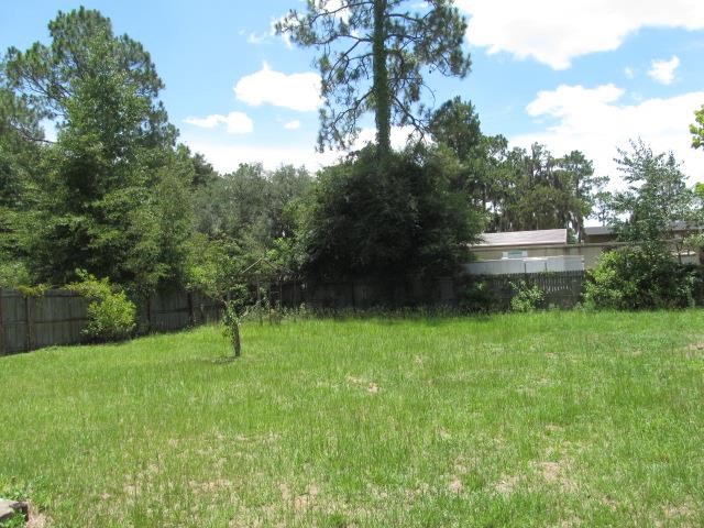 33 Sam Marks Road Crawfordville, FL 32327 - Photo 7 of 21 Gallery Image 7