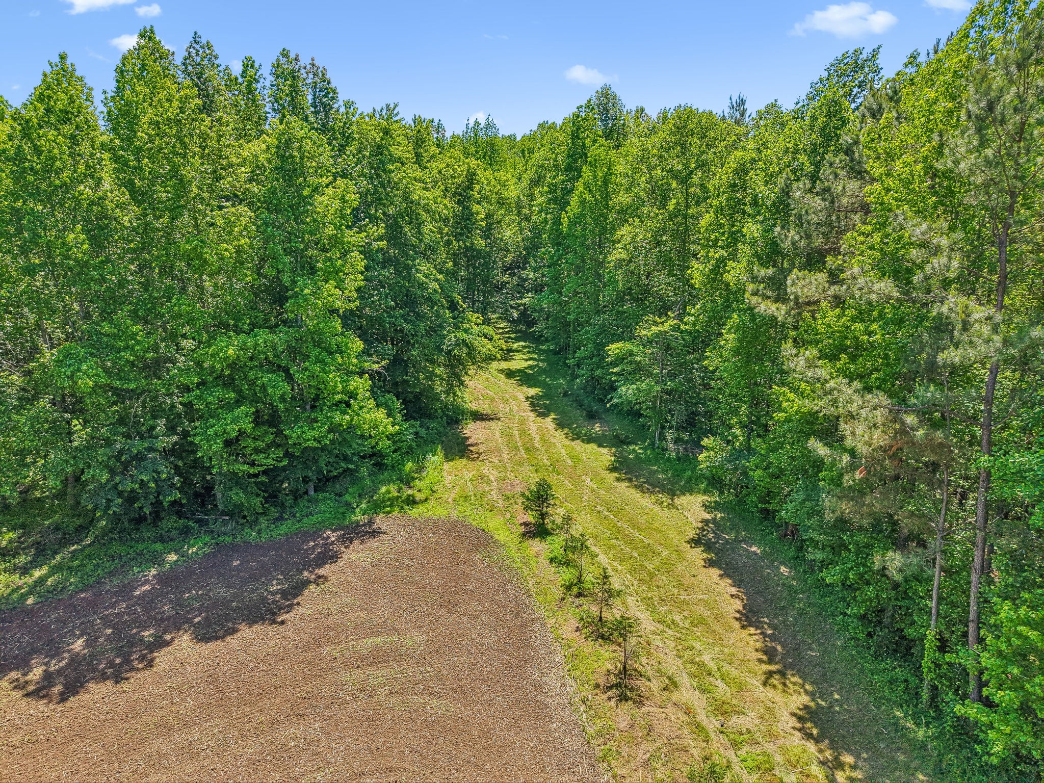 0 Rochelle Lane Hurricane Mills, TN 37078 - Photo 24 of 69 a view of a yard with plants