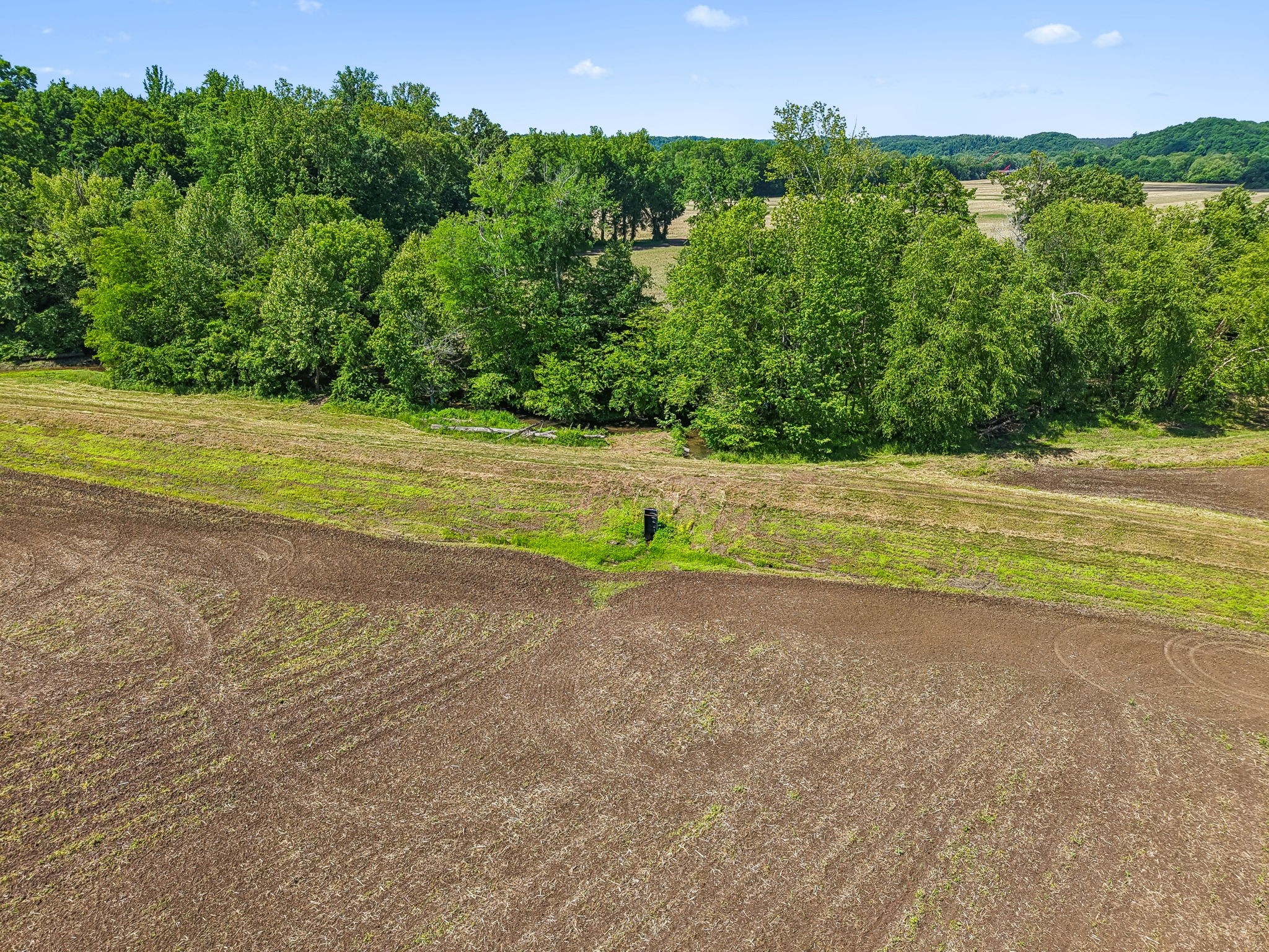 0 Rochelle Lane Hurricane Mills, TN 37078 - Photo 3 of 69 a view of a field with an trees
