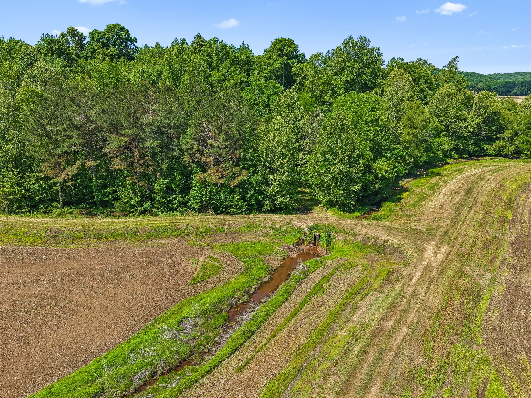 0 Rochelle Lane Hurricane Mills, TN 37078 - Photo 4 of 69 a view of a yard