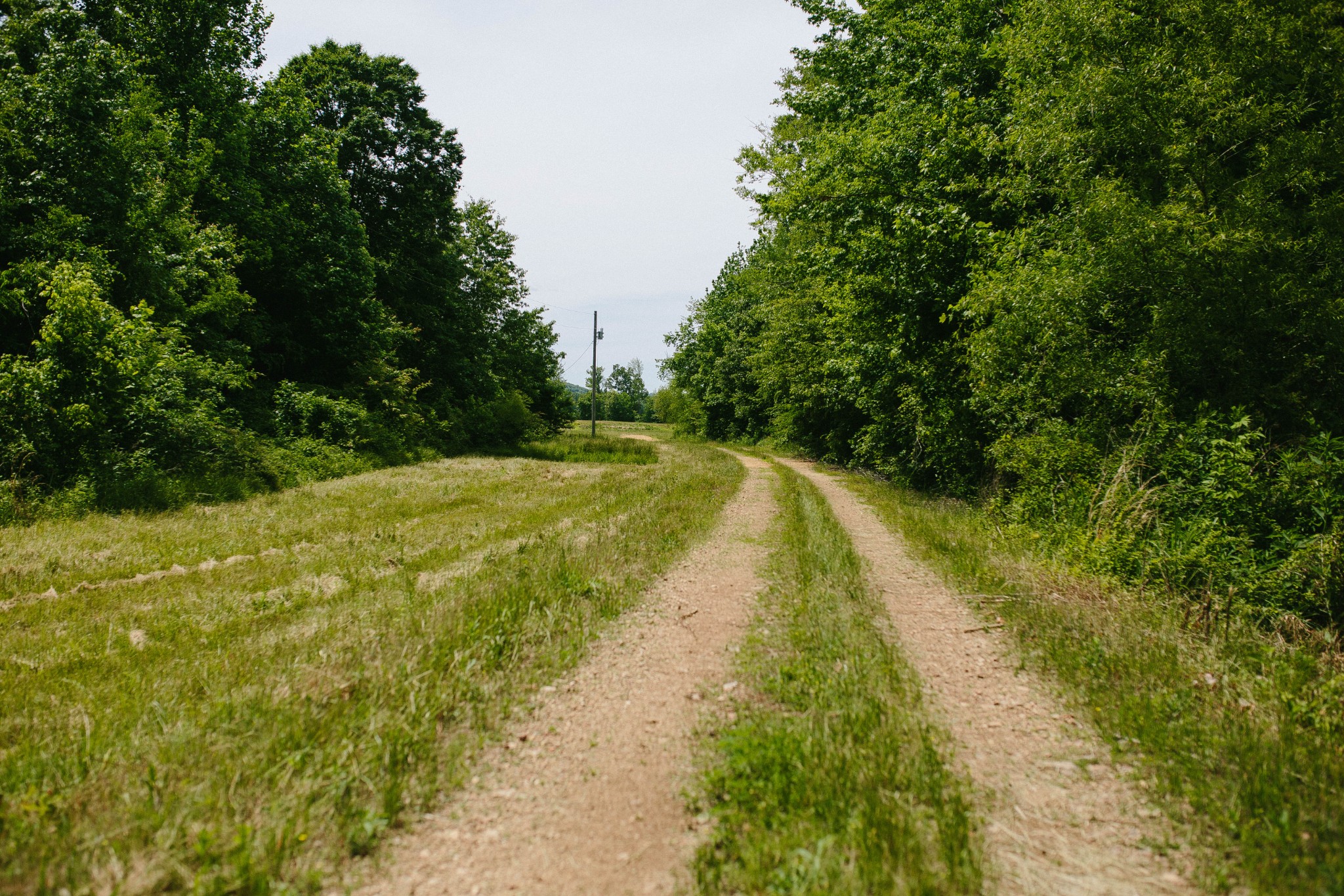 0 Rochelle Lane Hurricane Mills, TN 37078 - Photo 47 of 69