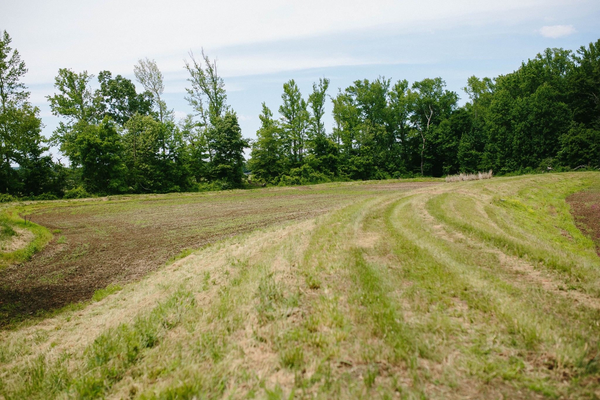 0 Rochelle Lane Hurricane Mills, TN 37078 - Photo 54 of 69