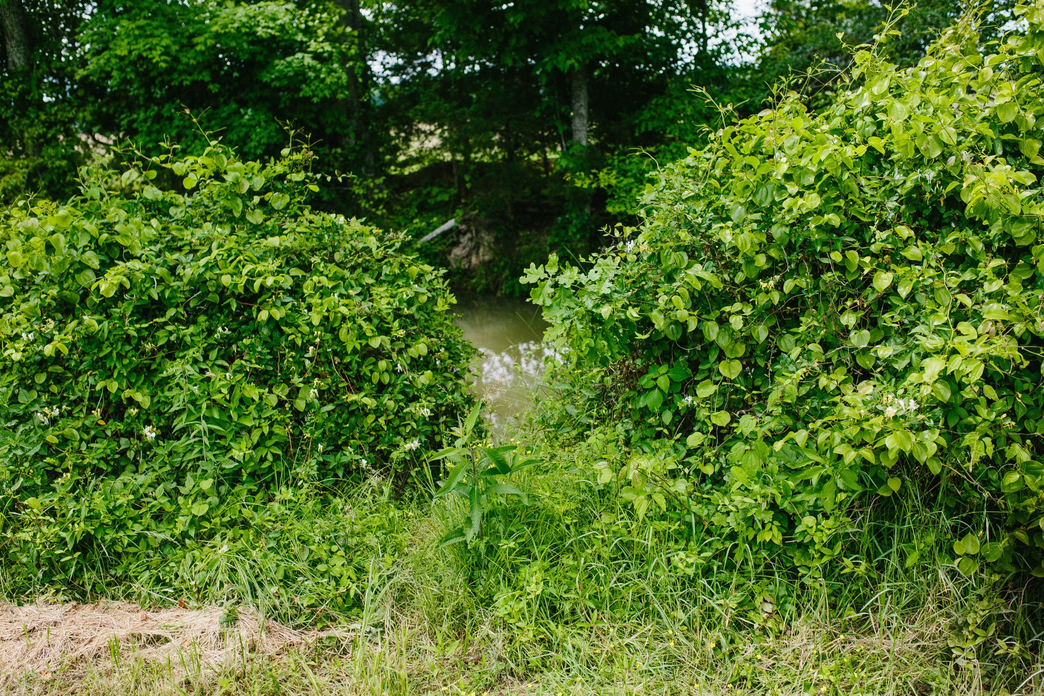 0 Rochelle Lane Hurricane Mills, TN 37078 - Photo 55 of 69
