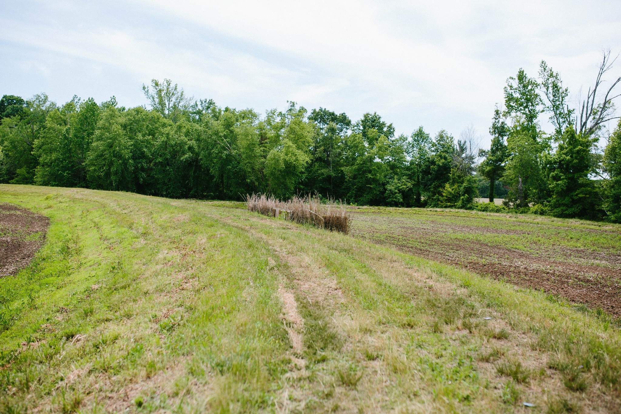 0 Rochelle Lane Hurricane Mills, TN 37078 - Photo 56 of 69