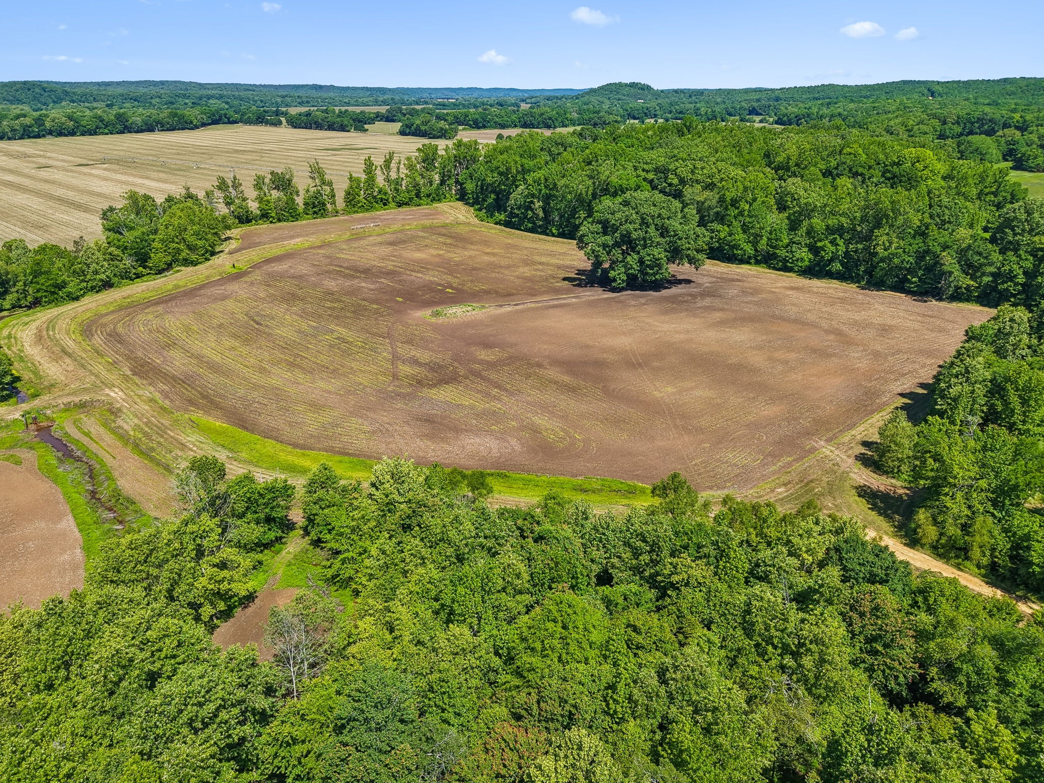 0 Rochelle Lane Hurricane Mills, TN 37078 - Photo 6 of 69 a view of a lake with a big yard