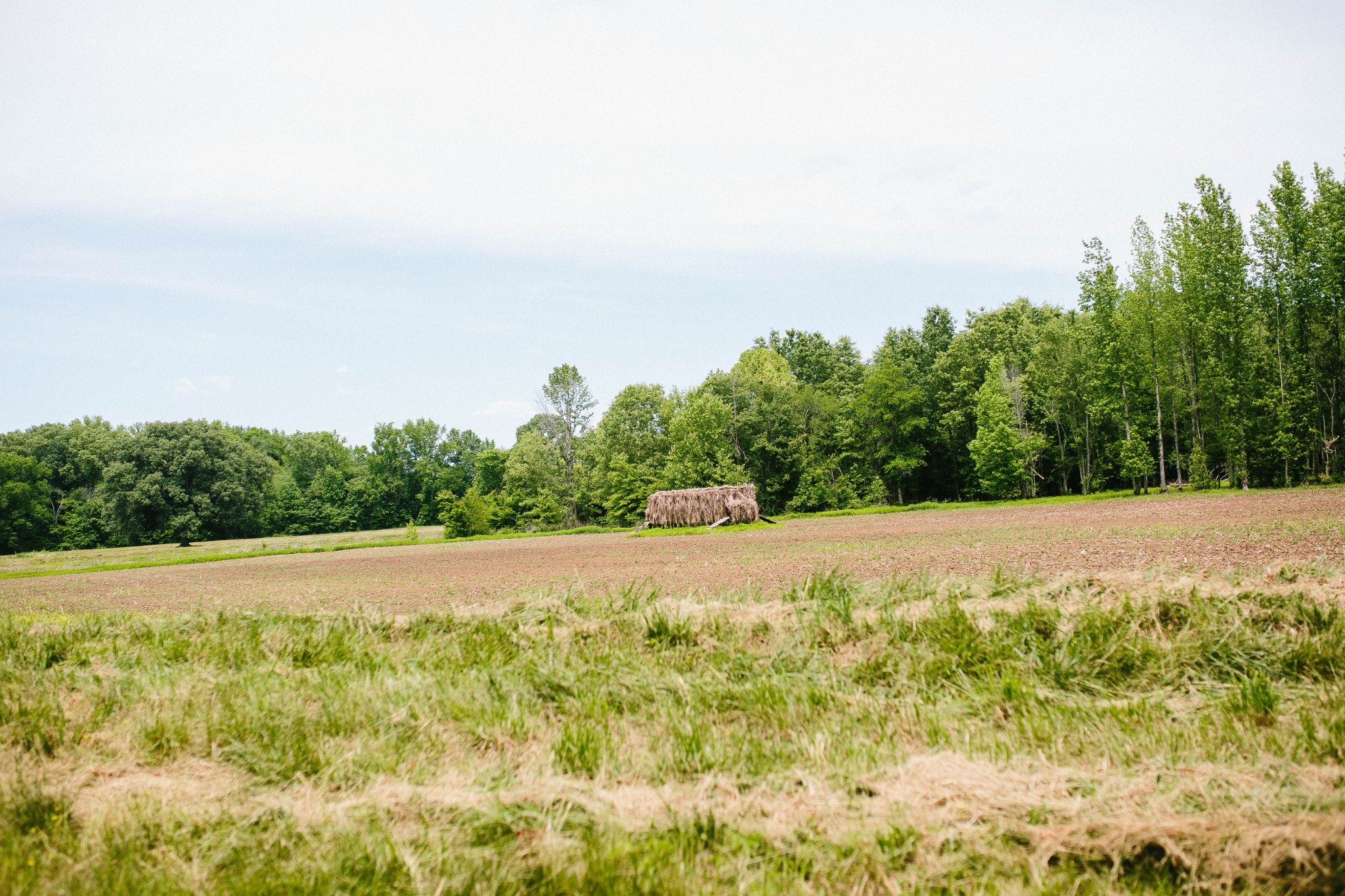 0 Rochelle Lane Hurricane Mills, TN 37078 - Photo 61 of 69