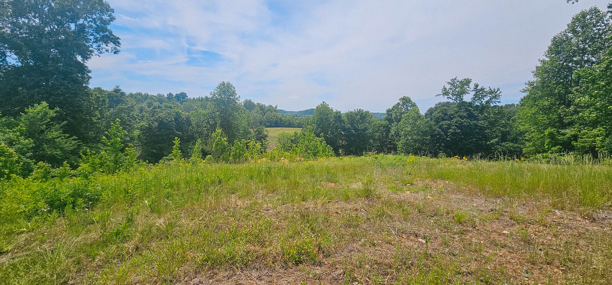 0 Rochelle Lane Hurricane Mills, TN 37078 - Photo 63 of 69