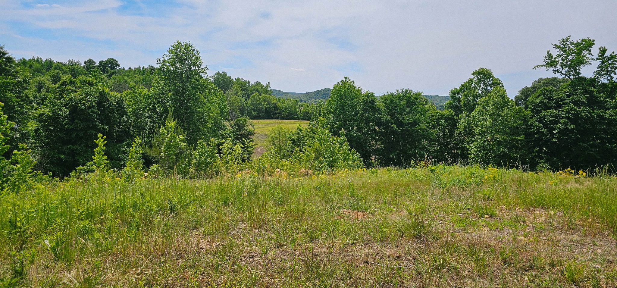 0 Rochelle Lane Hurricane Mills, TN 37078 - Photo 64 of 69