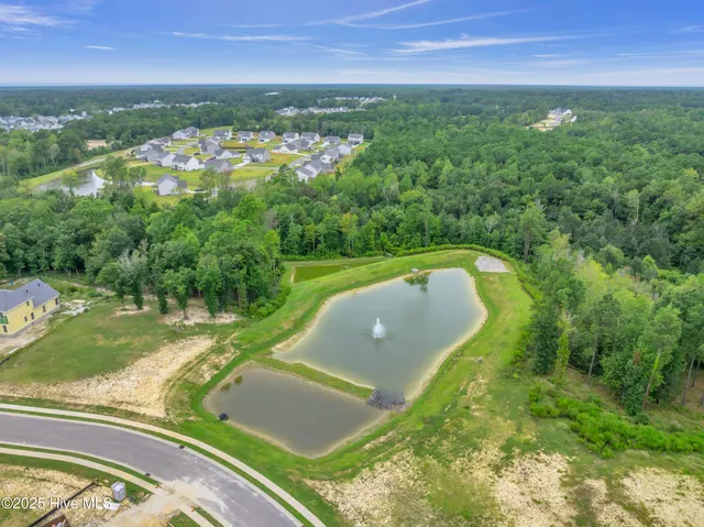 $1,798,000 | 103 Dragonfly Lane, Hampstead, NC 28443