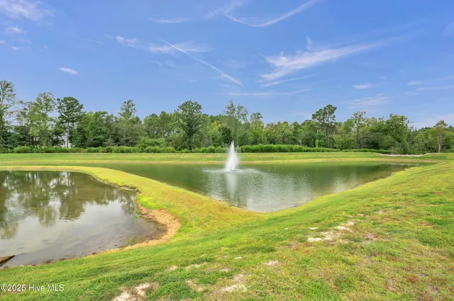 $1,798,000 | 103 Dragonfly Lane, Hampstead, NC 28443