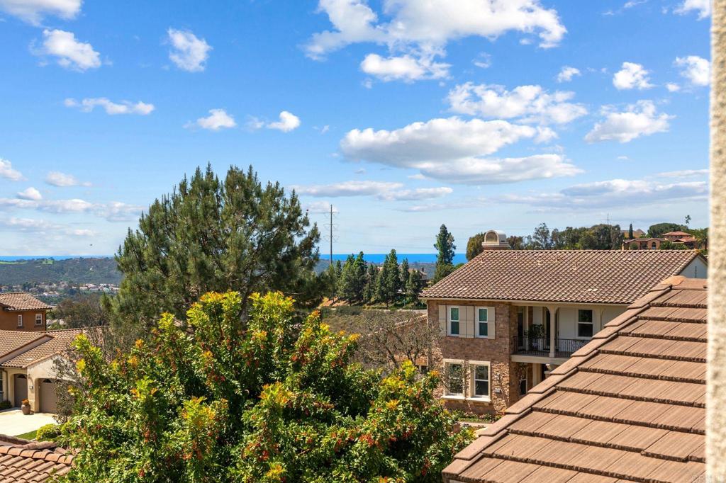 3228 Sitio Montecillo Carlsbad, CA 92009 - Photo 31 of 64