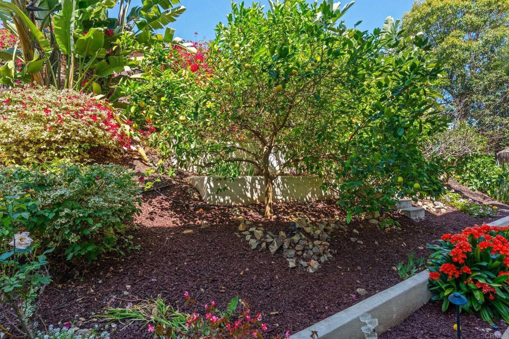 3228 Sitio Montecillo Carlsbad, CA 92009 - Photo 60 of 64