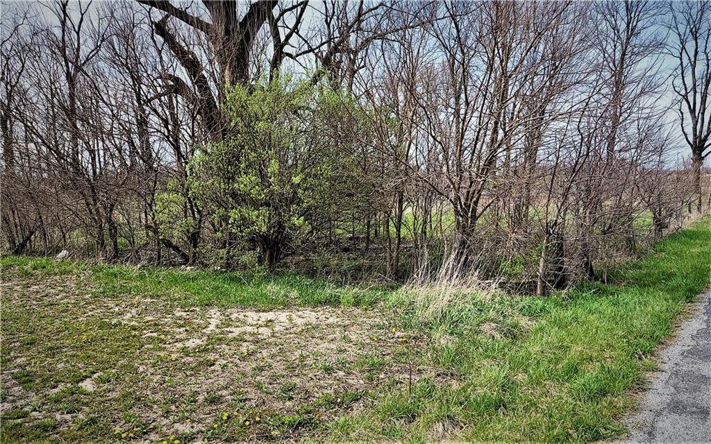 Tract 2-0 North Oak Ridge Road Sheridan, IN 46069 - Photo 6 of 7 Gallery Image 6
