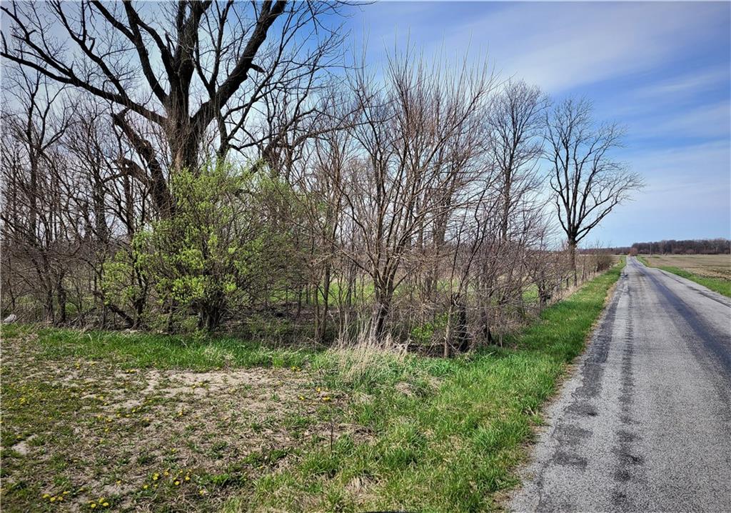 Tract 2-0 North Oak Ridge Road Sheridan, IN 46069 - Photo 7 of 7 Gallery Image 7