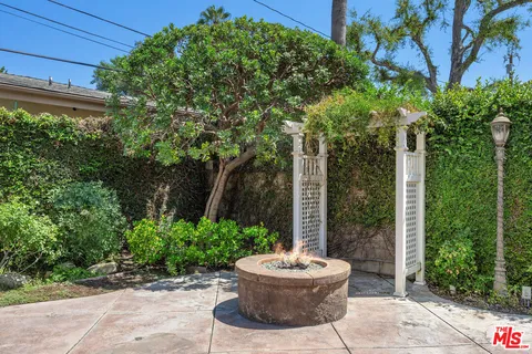 a view of a backyard with garden and plants