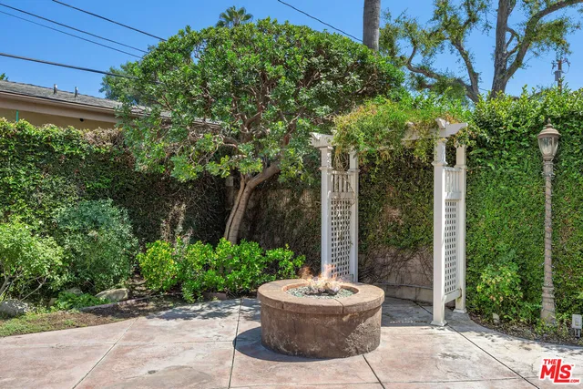 a view of a backyard with garden and plants