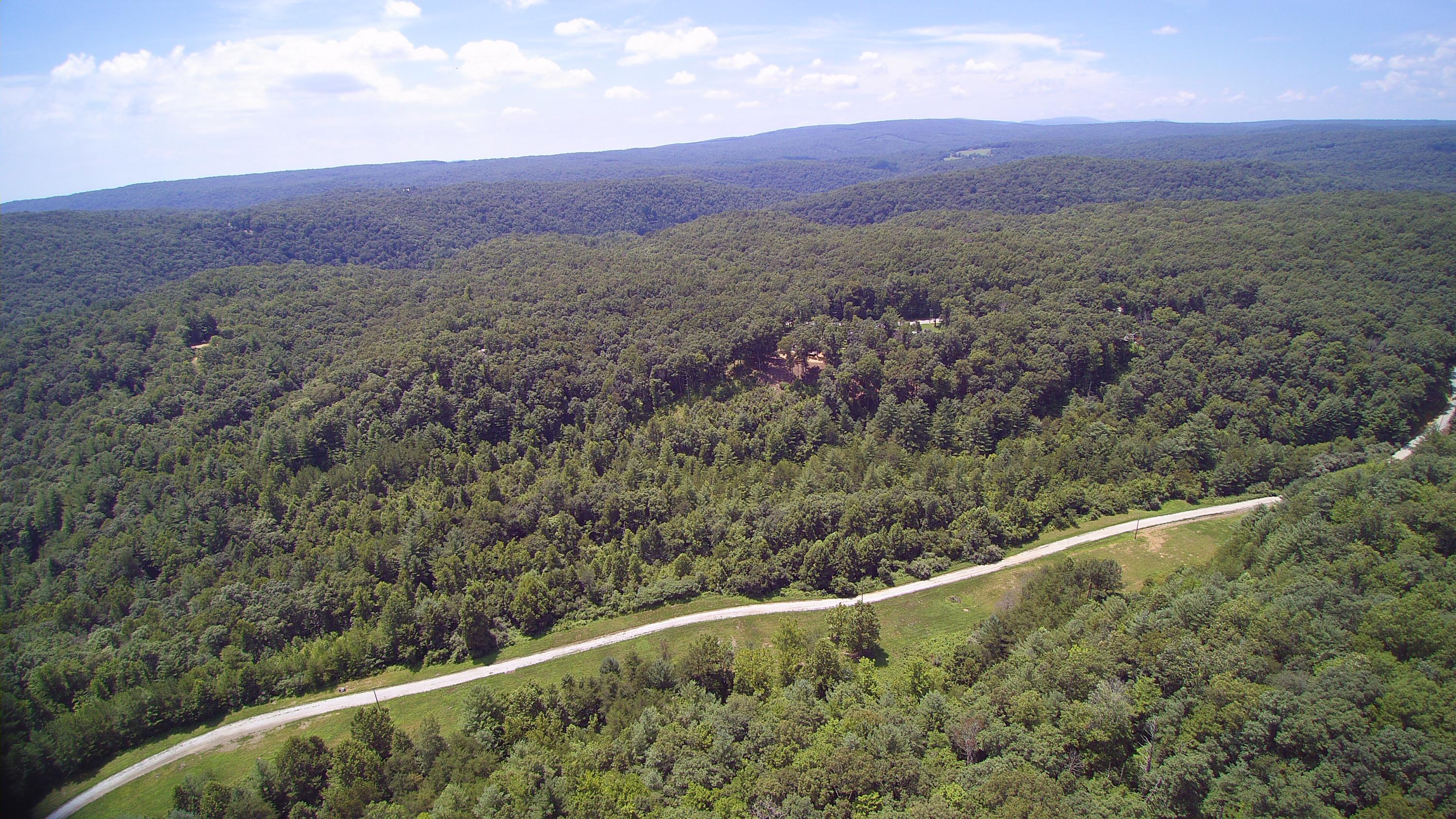 Lot 51 Homestead Hollow Road Lancing, TN 37770 - Photo 1 of 22 YUN00132