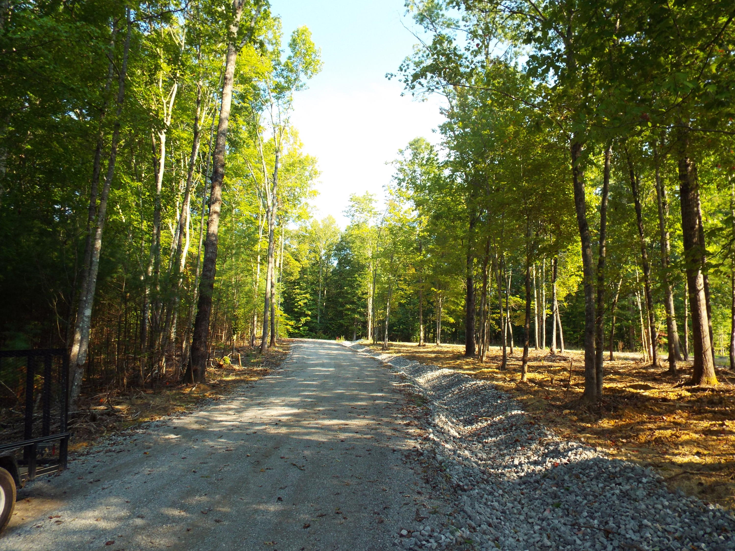 Lot 51 Homestead Hollow Road Lancing, TN 37770 - Photo 2 of 22 DSCF2856