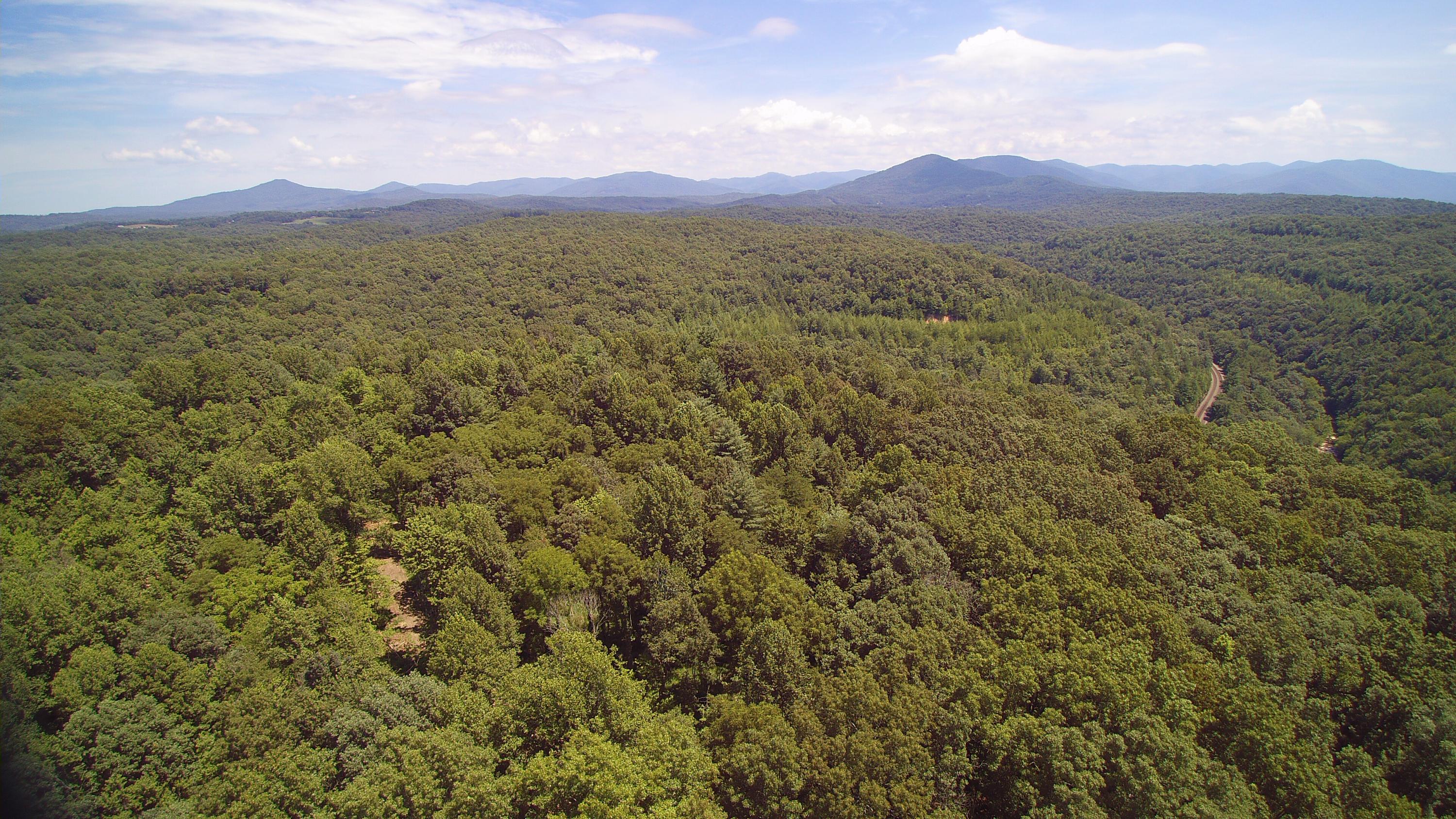 Lot 51 Homestead Hollow Road Lancing, TN 37770 - Photo 11 of 22 YUN00109