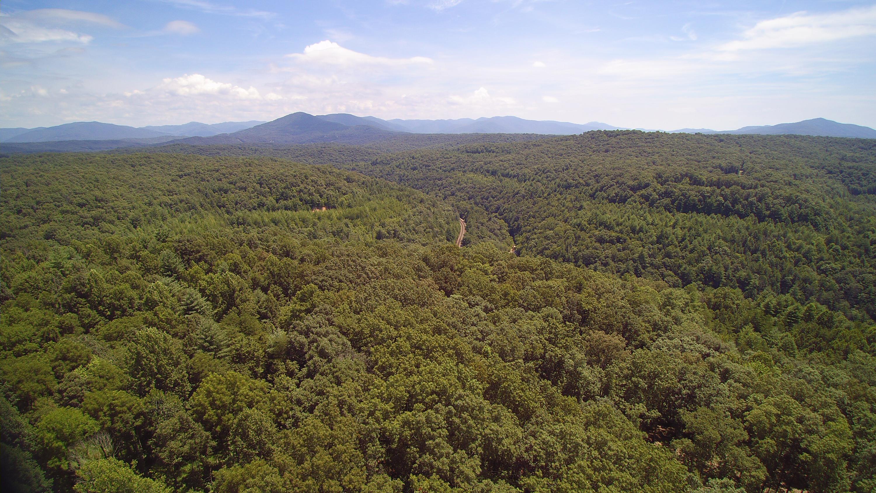 Lot 51 Homestead Hollow Road Lancing, TN 37770 - Photo 12 of 22 YUN00110
