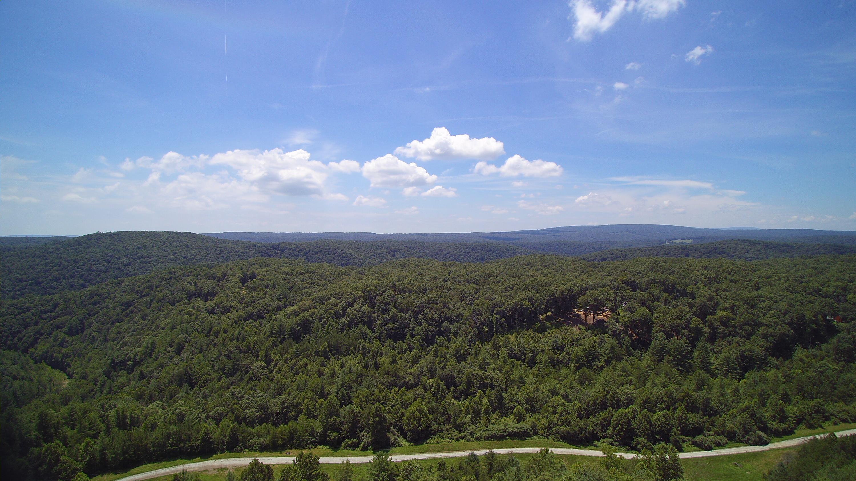 Lot 51 Homestead Hollow Road Lancing, TN 37770 - Photo 13 of 22 YUN00149